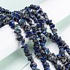 Natural Lapis Lazuli Beads Strands LS-G-F703-05B-4