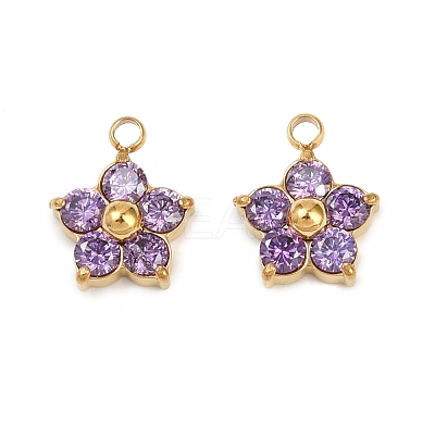 304 Stainless Steel Micro Pave Cubic Zirconia Charms STAS-B088-01G-05-1