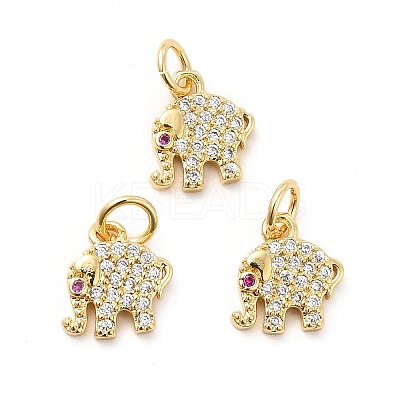 Rack Plating Brass Micro Pave Cubic Zirconia Charms KK-K270-17G-1