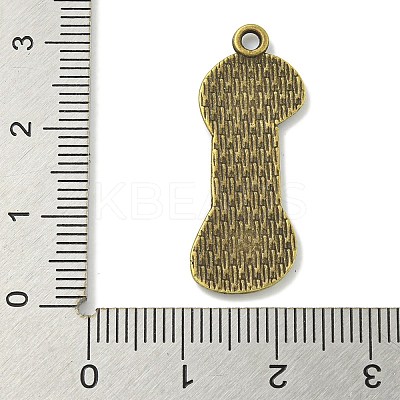 Tibetan Style Alloy Pendants TIBE-I026-5998AB-1
