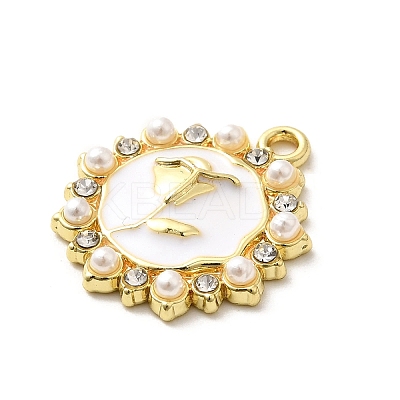 Alloy Pendants FIND-H015-04G-02-1