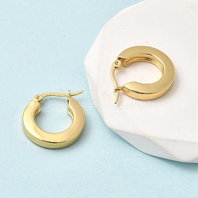 201 Stainless Steel Hoop Earrings EJEW-Z151-10G-02-1