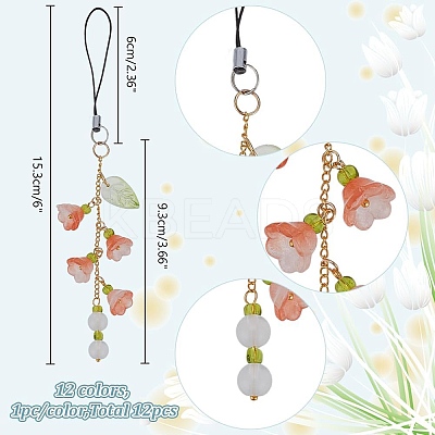 12Pcs Glass & Acrylic & Brass Mobile Straps HJEW-AR00008-1