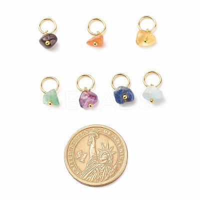 7Pcs 7 Styles Natural Stone Chip Charms PALLOY-JF01485-01-1