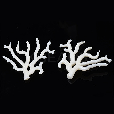 Acrylic Big Pendants OACR-N131-010B-B02-1