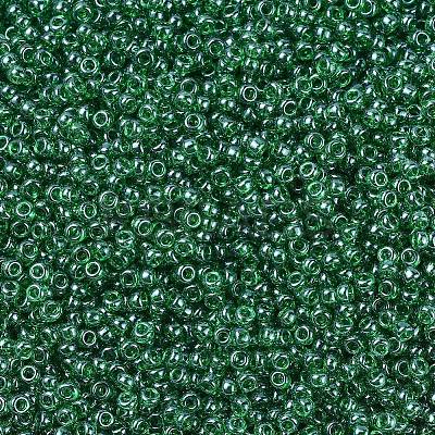 MIYUKI Round Rocailles Beads X-SEED-G007-RR0173-1