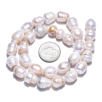 Natural Cultured Freshwater Pearl Beads Strands PEAR-N012-10E-1