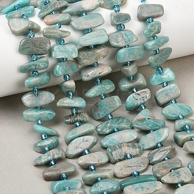 Natural Amazonite Beads Strands X-G-P619-A04-01-1