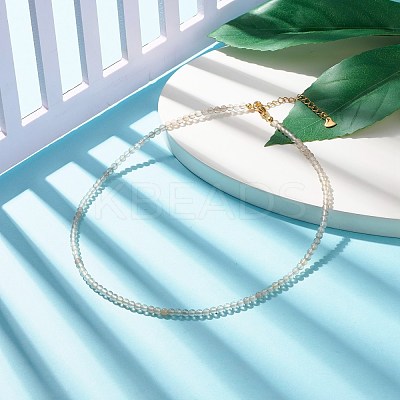 Natural Grey Agate Beaded Necklaces for Women NJEW-JN03789-05-1