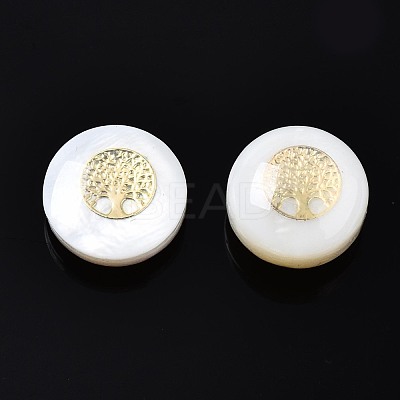 Freshwater Shell Beads SHEL-T018-20-1