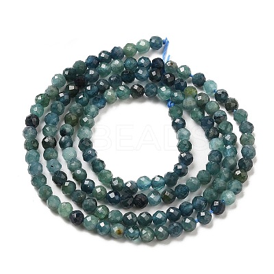 Natural Blue Tourmaline Beads Strands LS-G-E608-A05-B-1