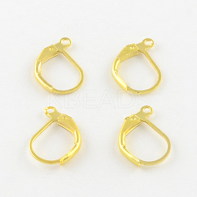 Iron Leverback Earring Findings IFIN-Q113-G-1