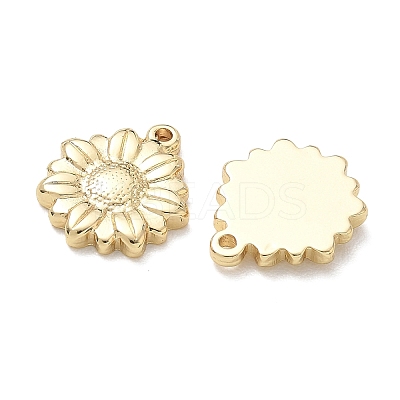 304 Stainless Steel Pendants SA-CBA3037-25G-02-1