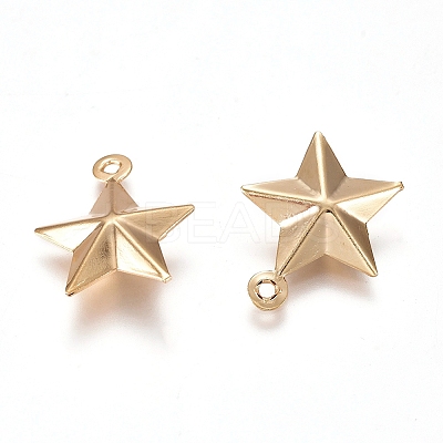 304 Stainless Steel Pendants LS-X-STAS-I138-12G-1