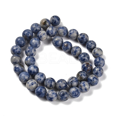 Natural Blue Spot Jasper/Flower Amazonite/Labradorite/Sesame Jasper/Glass Beads Strands G-P562-C-03-1