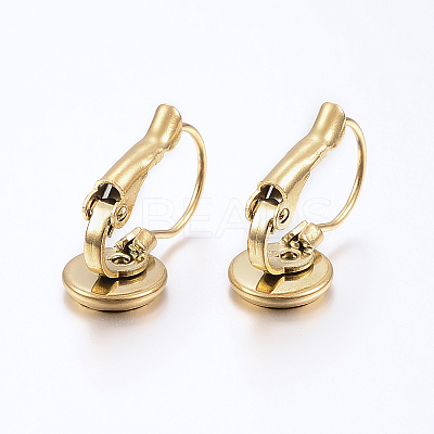 Ion Plating(IP) 304 Stainless Steel Leverback Earring Findings LS-STAS-H425-02G-1