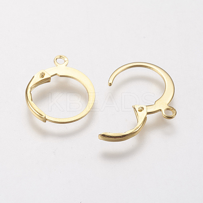 304 Stainless Steel Leverback Earring Findings X-STAS-F141-02G-1