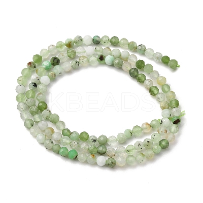 Natural Chrysoprase Beads Strands G-RM2025-A39-3mm-1