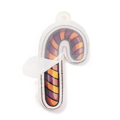Printed Acrylic Pendant FIND-H003-04D-1