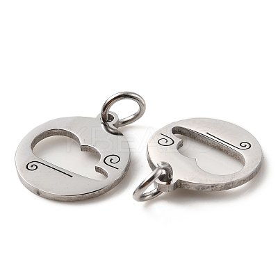 Non-Tarnish 304 Stainless Steel Charms STAS-D050-07P-06-1