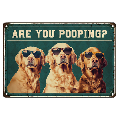 Vintage Metal Tin Sign AJEW-WH0436-040-1