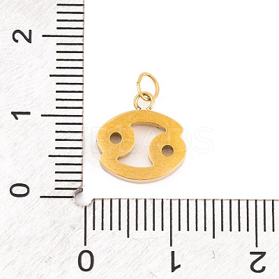 316 Stainless Steel Micro Pave Cubic Zirconia Pendants LS-STAS-K284-01D-G-1