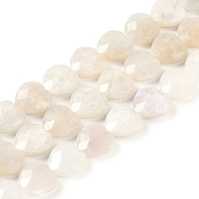 Natural Rainbow Moonstone Beads Strands G-G118-A01-01-1
