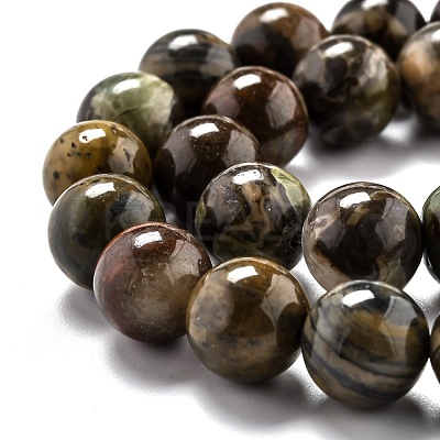 Round Natural Ocean Agate/Ocean Jasper Beads Strands G-O199-02C-1