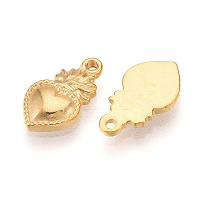 304 Stainless Steel Charms STAS-N109-114G-1