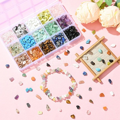 210g 14 Styles Natural Mixed Gemstone Chip Beads and 15g Opaque Glass Chip Beads Kits G-YW0002-37-1