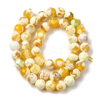 Natural Fire Crackle Agate Bead Strands G-K166-07F-8mm-07-1
