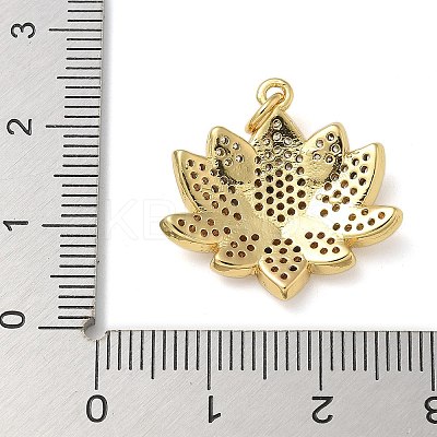 Rack Plating Brass Micro Pave Cubic Zirconia Pendants KK-K392-56G-1