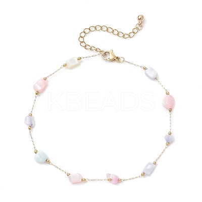 Dyed Nuggets Natural Shell & 304 Stainless Steel Link Chain Anklets AJEW-AN00726-1