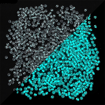 Glow in the Dark Luminous Transparent Glass Round Seed Beads LUMI-PW0004-006A-09-1