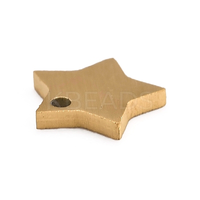 Ion Plating(IP) 304 Stainless Steel Pendants STAS-O133-03H-G-1