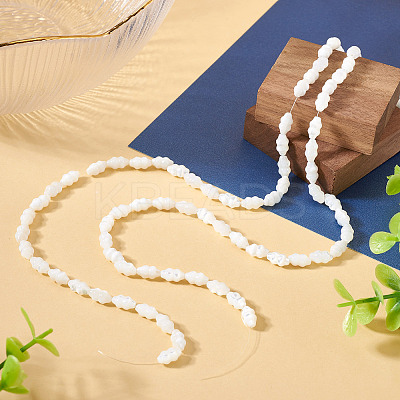 2 Strands Natural Trochus Shell Beads Strands SHEL-TA0001-20-1