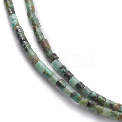Natural African Turquoise(Jasper) Beads Strands G-H255-08-1