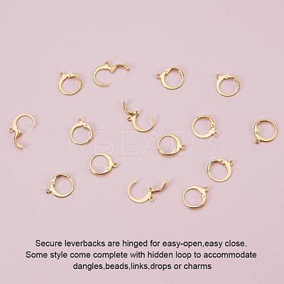 304 Stainless Steel Leverback Earring Findings STAS-G081-62G-1