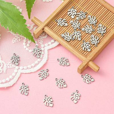 304 Stainless Steel Charms LS-STAS-CJC0008-15P-1