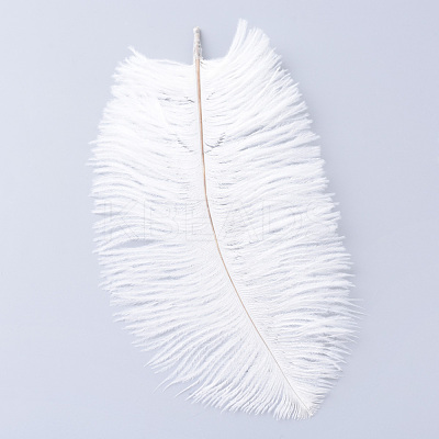 Ostrich Feather Costume Accessories FIND-R036-A-16-1