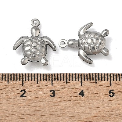 304 Stainless Steel Charms STAS-P433-14B-P-1