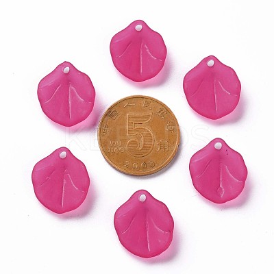 Transparent Frosted Acrylic Pendants MACR-S371-02A-706-1