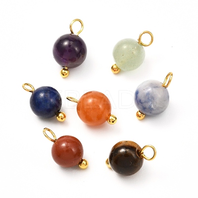 Natural Mixed Gemstone Charms PALLOY-JF00992-01-1