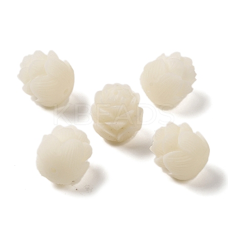 Natural Bodhi Root Beads FIND-Z037-05B-1
