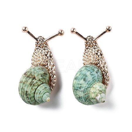 Snail Green Natural Conch Shell Fossil Brooch Pin JEWB-A020-02G-02-1