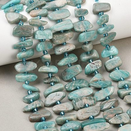Natural Amazonite Beads Strands X-G-P619-A04-01-1