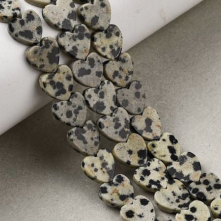 Natural Dalmatian Jasper Beads Strands G-M403-A31-03-1