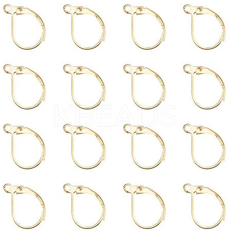 Brass Leverback Earring Findings KK-PH0026-22G-RS-1