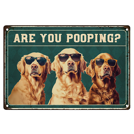 Vintage Metal Tin Sign AJEW-WH0436-040-1
