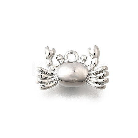 Ocean Theme Brass Charms KK-C096-13B-P-1